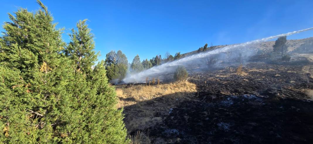 Konya’da piknikçi ateşi ormanı yaktı 3